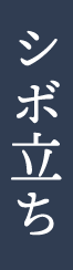 シボ立ち